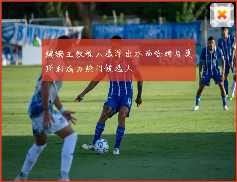 鹈鹕主教练人选浮出水面哈姆与莫斯利成为热门候选人